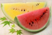 娱乐吃瓜酱属于什么领域,揭秘娱乐圈幕后故事与热点事件